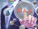 M&A bất động sản: Không còn tình trạng “cá lớn nuốt cá bé”