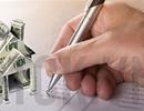 Tiền cho thuê đất trá hình phải trả vào công quỹ