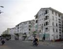 Hà Nội yêu cầu chấm dứt việc cho thuê, mượn, nhà, đất thuộc sở hữu Nhà nước trái quy định