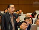 Xây đặc khu: Miễn thuế thuê đất 70- 90 năm, khác gì “cho không”?