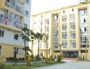 Nhà ở thương mại giá rẻ song hành cùng nhà ở xã hội