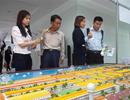 Có “quân xanh, quân đỏ” trong đấu giá đất