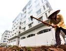 Hà Nội muốn đặt hàng doanh nghiệp hơn 17.600 căn hộ tái định cư