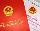 Cấp giấy chứng nhận cho đất giấy tay: Còn kẽ hở!