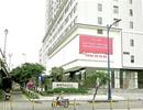 Những “tổ ong” mang tên Officetel
