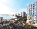 Xung quanh vấn đề pháp lý về cấp sổ đỏ cho condotel