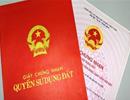 Hai phương án gỡ “quá tải” khi cấp giấy chứng nhận