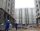 Bước đột phá cải cách hành chính trong lĩnh vực xây dựng