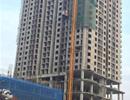 CĐT Mỹ Sơn Tower bị buộc sớm bàn giao nhà cho khách