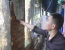 Chung cư, nhà tập thể rệu rã