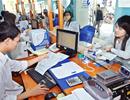 Quá nhiều hồ sơ nhà đất ở TPHCM bị “ngâm” kéo dài