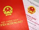 Đẩy mạnh cấp giấy chứng nhận quyền sử dụng đất tại TP HCM