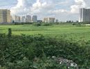 Chủ tịch Hà Nội yêu cầu rà soát các dự án ôm đất chậm triển khai