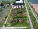 Đất ở đô thị tại Đồng Nai được tách thửa tối thiểu 60m2