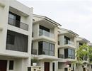 Năm Mậu Tuất, Thổ khí trùng trùng, bất động sản hưởng lợi