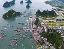 Dự thảo luật đặc khu: Bộ Kế hoạch và Đầu tư điều chỉnh một loạt nội dung mới