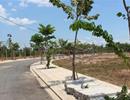 Nhà đầu tư "đón sóng" đất nền phân lô