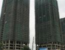 Các “ông lớn” bất động sản đua nhau M&A dịp đầu năm