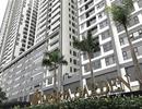 Ban quản lí Imperia Garden: 'Chỉ có 11 hộ dân bị ngừng cung cấp dịch vụ'