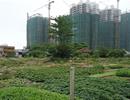 TP. HCM ngưng BT, ‘trảm’ dự án chậm triển khai để giữ quỹ đất sạch