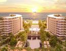HoREA kiến nghị hoàn thiện khung pháp lý đối với condotel