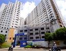 TP. HCM dành 2 ha đất sạch kêu gọi doanh nghiệp xây nhà ở xã hội