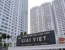Chung cư Giai Việt đầy nước thải, ruồi muỗi... của doanh nghiệp “Cường Đô La“