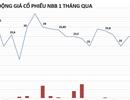 Chủ đầu tư Carina 'mất' 170 tỷ đồng sau một đêm vì cổ phiếu giảm