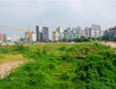 Lãng phí đất - Chuyện không mới