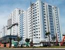 Tài sản đổ dốc không dừng, Năm Bảy Bảy phủ nhận chủ Carina