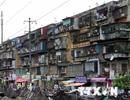 TP.HCM: Gần 500 chung cư cũ đã hết niên hạn sử dụng