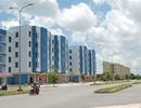 Kiến nghị đưa tiền sử dụng đất thành sắc thuế
