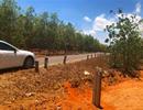Chuyển mục đích 8.000 m2 đất chỉ nộp… 196.000 đồng!