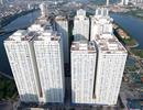 Thanh Hóa giao đất rừng phòng hộ cho FLC nhưng không báo cáo Thủ tướng