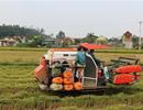 Thêm 8 tỉnh được điều chỉnh quy hoạch sử dụng đất
