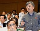 "Không ai muốn có thêm nhiều củi khi đặc khu ra đời"