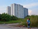 Tăng thuế quá nhanh, quá nhiều (*): Đừng để người dân thấy bị ép buộc!