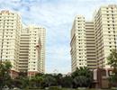 TP HCM đấu giá 200 căn hộ tái định cư