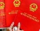 TPHCM: Nhà, đất chưa có sổ đỏ không được lập vi bằng