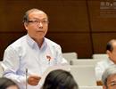 'Nhân dân bất bình vì đất vàng rơi vào tay doanh nghiệp bạch tuộc'