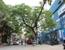 Ngột ngạt nội đô: 2 triệu người chen nhau 1km2