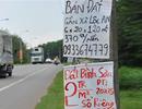 Có “bong bóng” BĐS trên diện rộng?