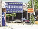 Bắc Vân Phong sau chỉ đạo dừng giao dịch đất