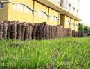 HoREA đề xuất thay đổi quy đỉnh về tính thời hạn sử dụng đất