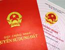 Hà Nội giảm thời gian cấp sổ đỏ còn 20 ngày