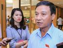Luật Đặc khu: Tiếp thu theo hướng bỏ cho thuê đất 99 năm