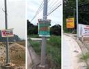 Dời lịch thông qua Luật Đặc khu, cơn sốt đất liệu có thoái trào?