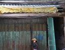 Sống thấp thỏm trong khu tập thể chờ sập
