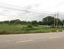 TP.HCM: Chưa thông qua chuyển mục đích sử dụng đất 03 dự án