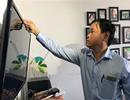 Cư dân Ehome 3 phản pháo vì chính quyền nói bụi vải là cỏ lau